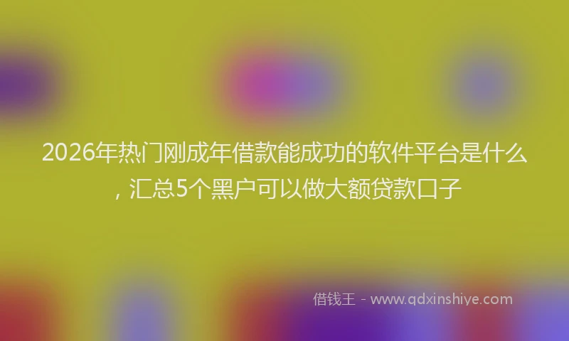 2026年热门刚成年借款能成功的软件平台是什么，汇总5个黑户可以做大额贷款口子