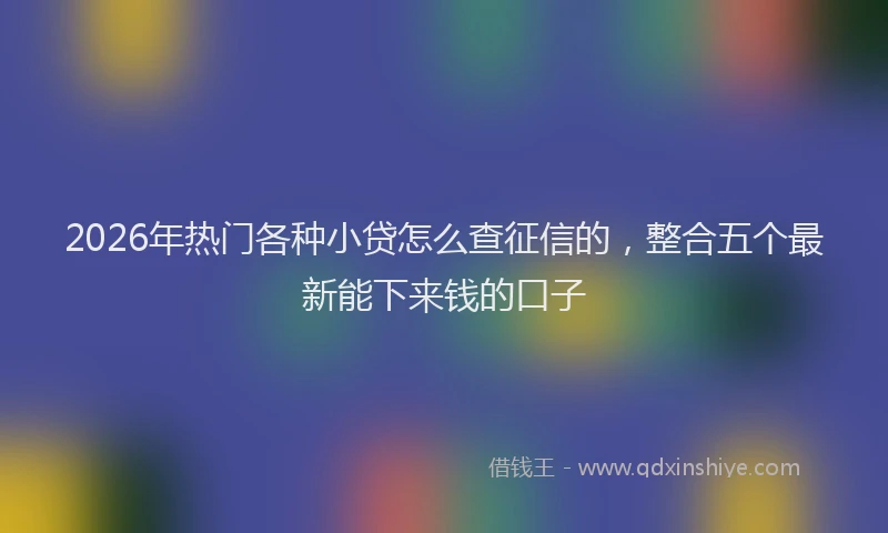 2026年热门各种小贷怎么查征信的，整合五个最新能下来钱的口子