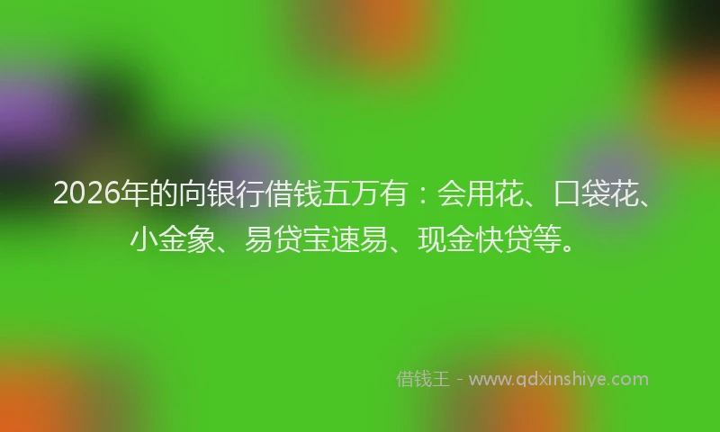 2026年的向银行借钱五万有：会用花、口袋花、小金象、易贷宝速易、现金快贷等。