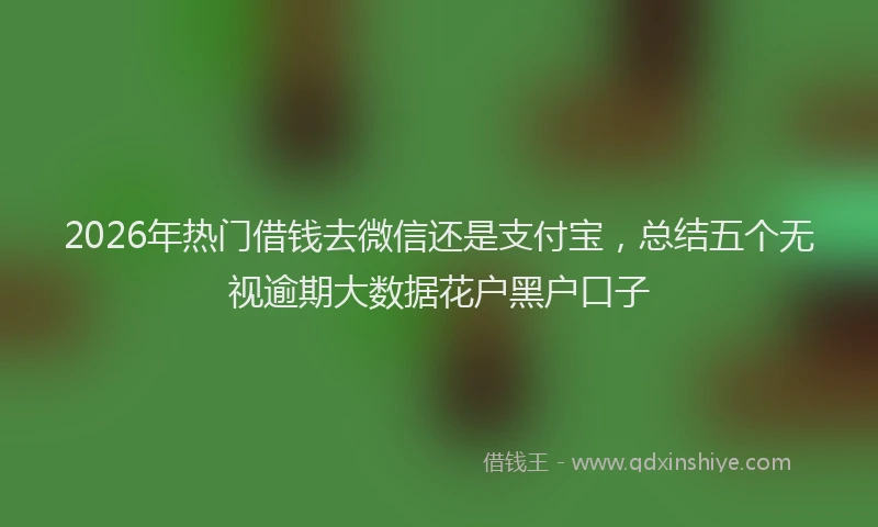 2026年热门借钱去微信还是支付宝，总结五个无视逾期大数据花户黑户口子