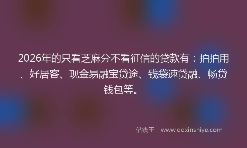 2026年的只看芝麻分不看征信的贷款有：拍拍用、好居客、现金易融宝贷途、钱袋速贷融、畅贷钱包等。