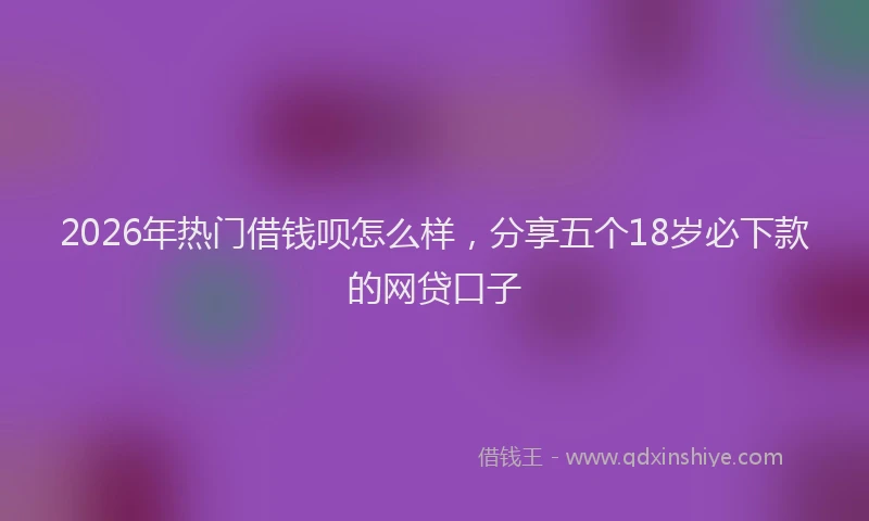 2026年热门借钱呗怎么样，分享五个18岁必下款的网贷口子