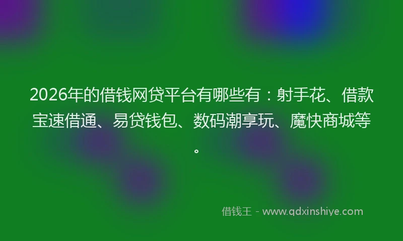 2026年的借钱网贷平台有哪些有：射手花、借款宝速借通、易贷钱包、数码潮享玩、魔快商城等。