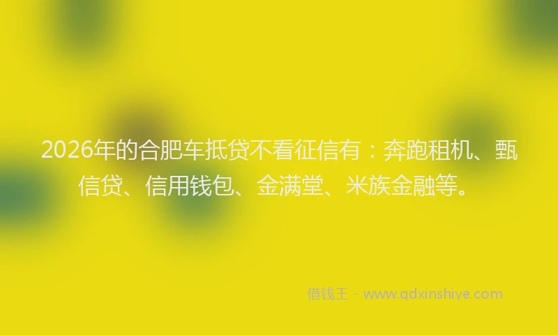 2026年的合肥车抵贷不看征信有：奔跑租机、甄信贷、信用钱包、金满堂、米族金融等。