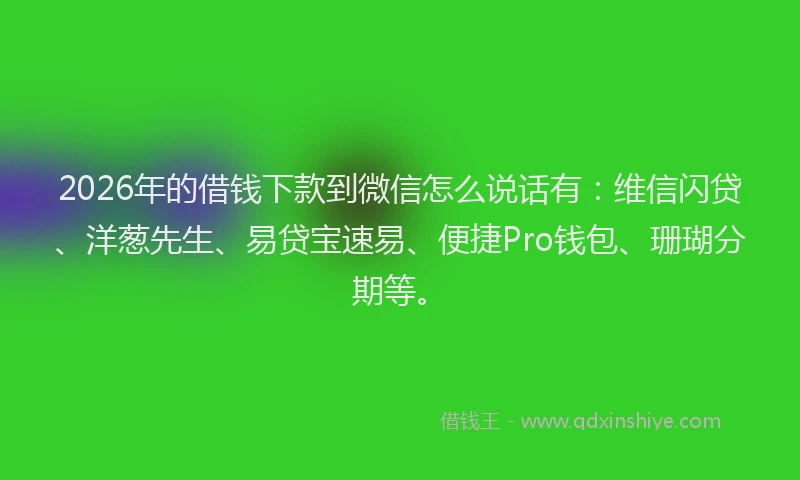 2026年的借钱下款到微信怎么说话有：维信闪贷、洋葱先生、易贷宝速易、便捷Pro钱包、珊瑚分期等。