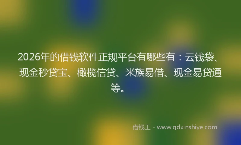 2026年的借钱软件正规平台有哪些有：云钱袋、现金秒贷宝、橄榄信贷、米族易借、现金易贷通等。