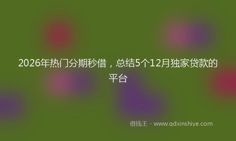 2026年热门分期秒借，总结5个12月独家贷款的平台