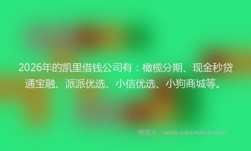 2026年的凯里借钱公司有：橄榄分期、现金秒贷通宝融、派派优选、小信优选、小狗商城等。