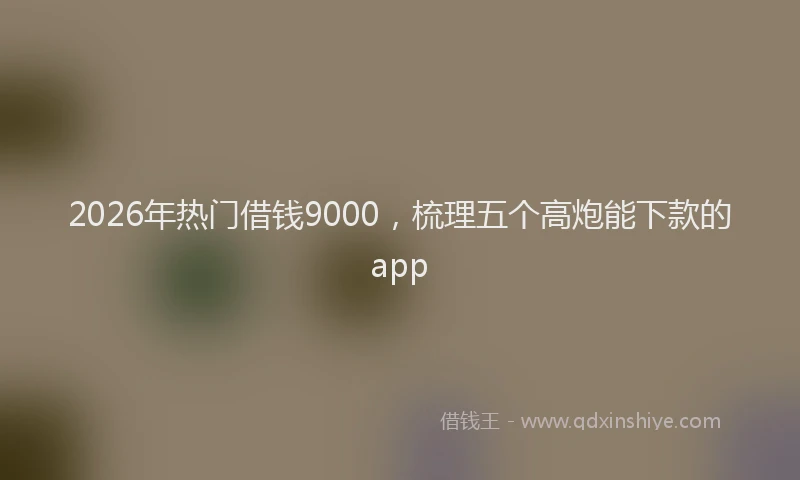 2026年热门借钱9000，梳理五个高炮能下款的app