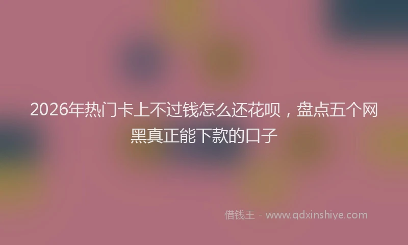 2026年热门卡上不过钱怎么还花呗，盘点五个网黑真正能下款的口子