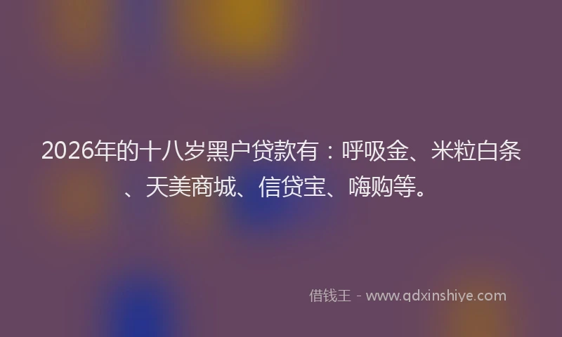 2026年的十八岁黑户贷款有：呼吸金、米粒白条、天美商城、信贷宝、嗨购等。