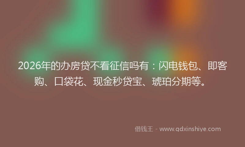 2026年的办房贷不看征信吗有：闪电钱包、即客购、口袋花、现金秒贷宝、琥珀分期等。