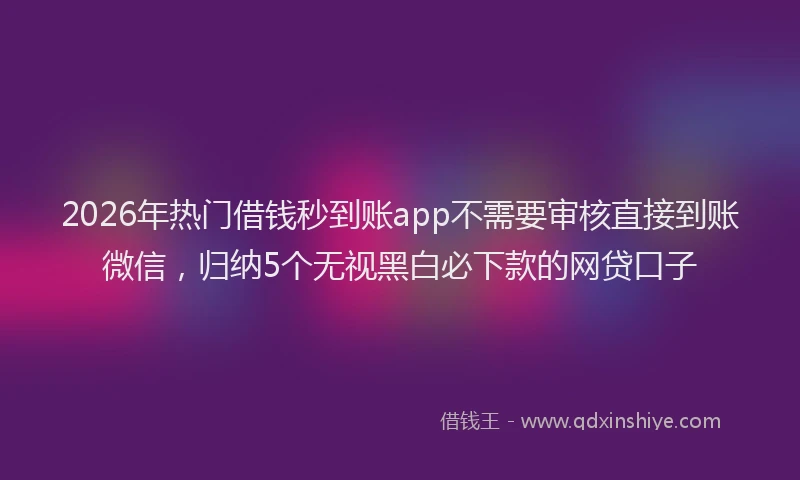 2026年热门借钱秒到账app不需要审核直接到账微信，归纳5个无视黑白必下款的网贷口子