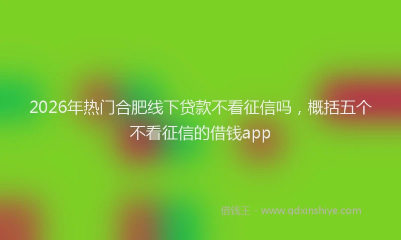 2026年热门合肥线下贷款不看征信吗，概括五个不看征信的借钱app