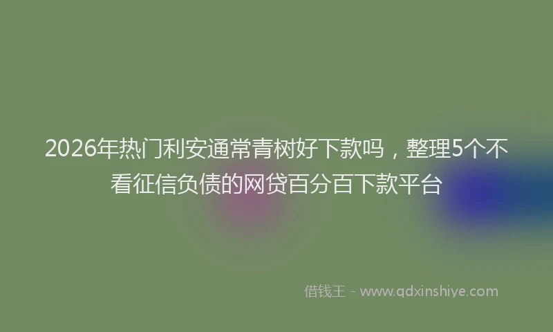 2026年热门利安通常青树好下款吗，整理5个不看征信负债的网贷百分百下款平台
