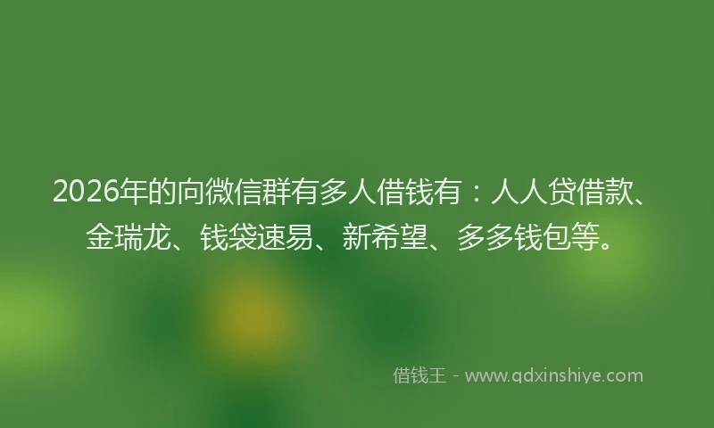 2026年的向微信群有多人借钱有：人人贷借款、金瑞龙、钱袋速易、新希望、多多钱包等。