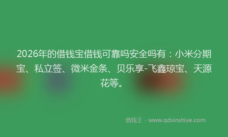 2026年的借钱宝借钱可靠吗安全吗有：小米分期宝、私立签、微米金条、贝乐享-飞鑫琼宝、天源花等。