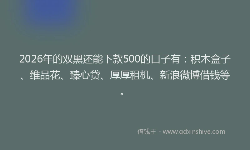 2026年的双黑还能下款500的口子有：积木盒子、维品花、臻心贷、厚厚租机、新浪微博借钱等。