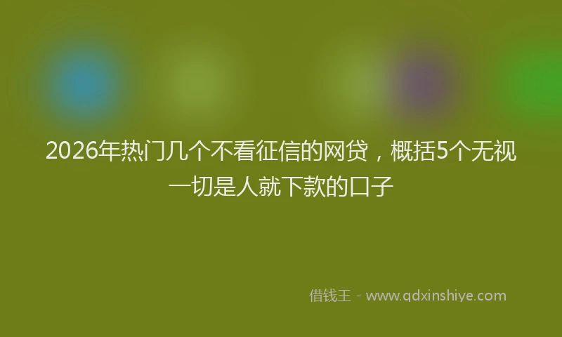 2026年热门几个不看征信的网贷，概括5个无视一切是人就下款的口子
