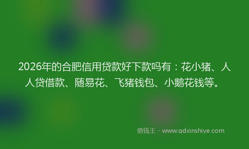 2026年的合肥信用贷款好下款吗有：花小猪、人人贷借款、随易花、飞猪钱包、小鹅花钱等。
