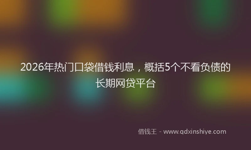 2026年热门口袋借钱利息，概括5个不看负债的长期网贷平台