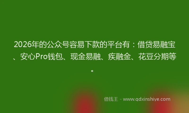 2026年的公众号容易下款的平台有：借贷易融宝、安心Pro钱包、现金易融、疾融金、花豆分期等。