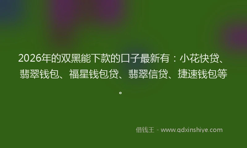 2026年的双黑能下款的口子最新有：小花快贷、翡翠钱包、福星钱包贷、翡翠信贷、捷速钱包等。