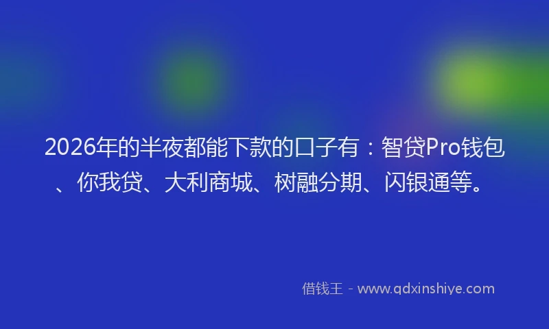 2026年的半夜都能下款的口子有：智贷Pro钱包、你我贷、大利商城、树融分期、闪银通等。