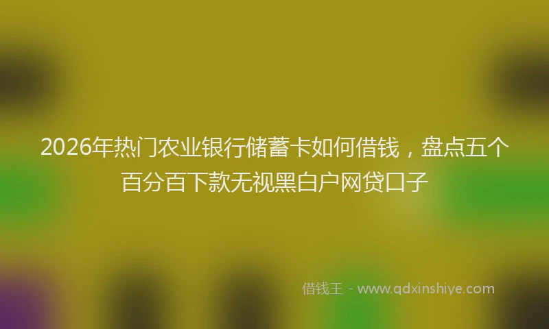 2026年热门农业银行储蓄卡如何借钱，盘点五个百分百下款无视黑白户网贷口子