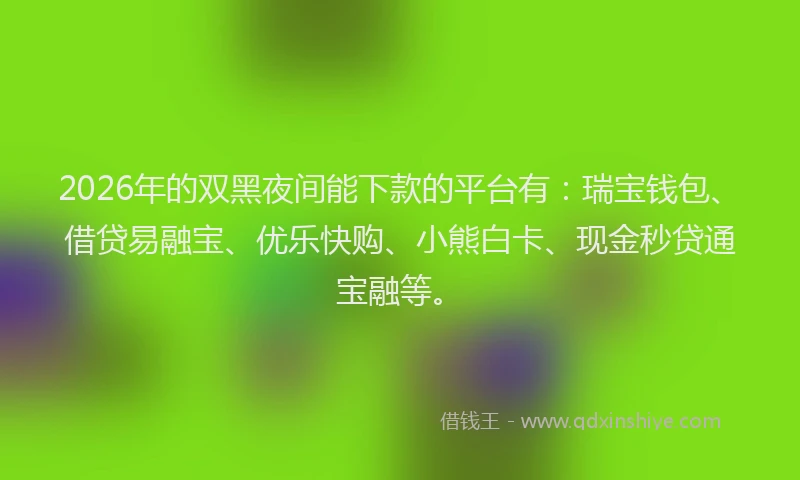 2026年的双黑夜间能下款的平台有：瑞宝钱包、借贷易融宝、优乐快购、小熊白卡、现金秒贷通宝融等。