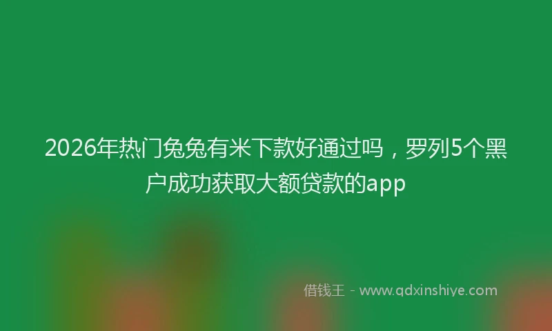 2026年热门兔兔有米下款好通过吗，罗列5个黑户成功获取大额贷款的app