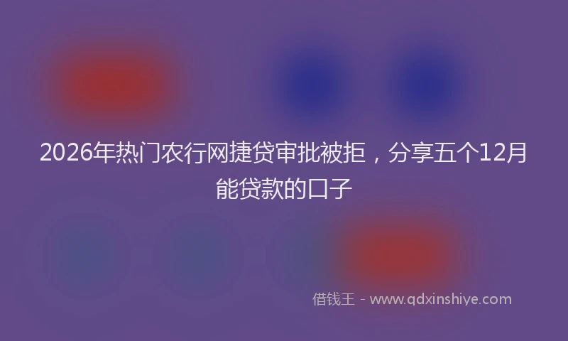 2026年热门农行网捷贷审批被拒，分享五个12月能贷款的口子