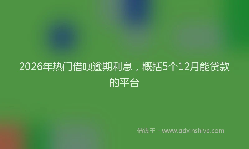 2026年热门借呗逾期利息，概括5个12月能贷款的平台