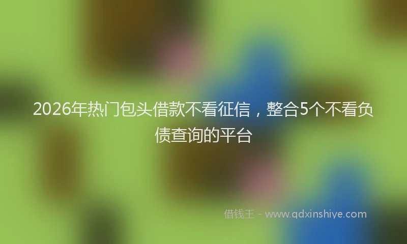 2026年热门包头借款不看征信，整合5个不看负债查询的平台