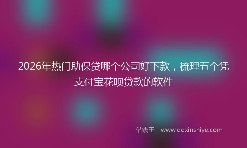 2026年热门助保贷哪个公司好下款，梳理五个凭支付宝花呗贷款的软件