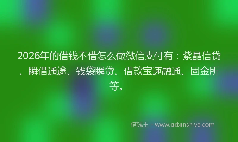 2026年的借钱不借怎么做微信支付有：紫晶信贷、瞬借通途、钱袋瞬贷、借款宝速融通、固金所等。