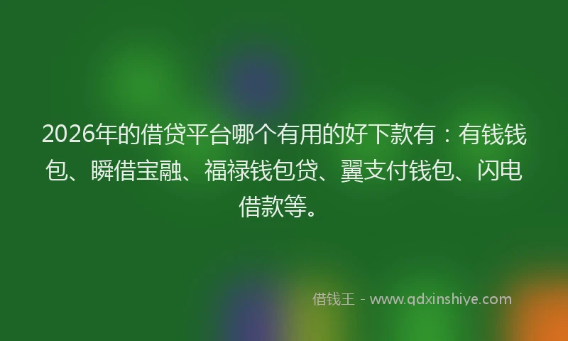 2026年的借贷平台哪个有用的好下款有：有钱钱包、瞬借宝融、福禄钱包贷、翼支付钱包、闪电借款等。