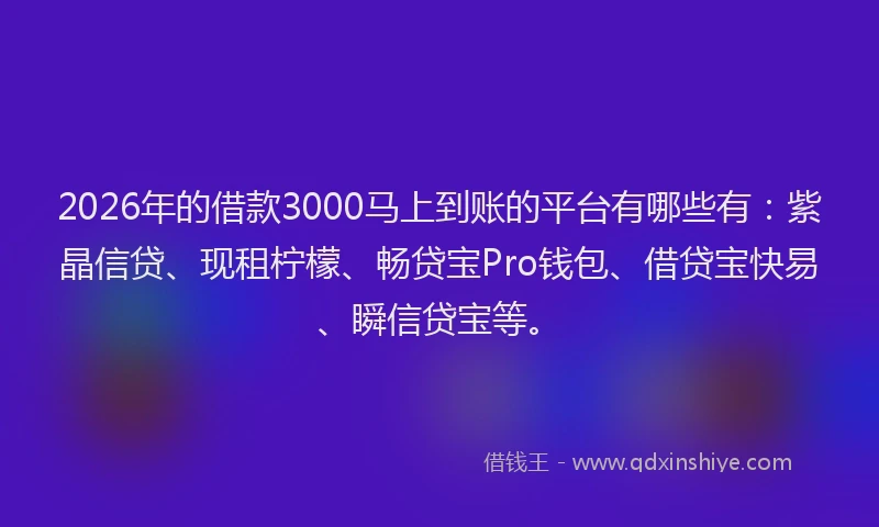 2026年的借款3000马上到账的平台有哪些有：紫晶信贷、现租柠檬、畅贷宝Pro钱包、借贷宝快易、瞬信贷宝等。