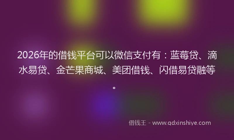 2026年的借钱平台可以微信支付有：蓝莓贷、滴水易贷、金芒果商城、美团借钱、闪借易贷融等。