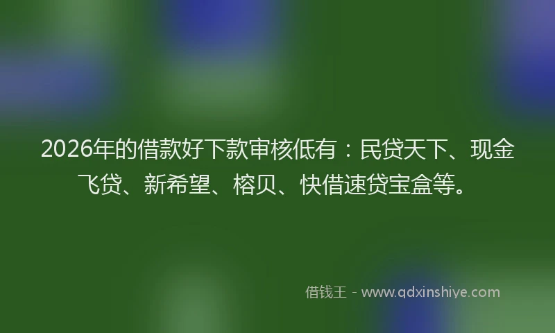 2026年的借款好下款审核低有：民贷天下、现金飞贷、新希望、榕贝、快借速贷宝盒等。