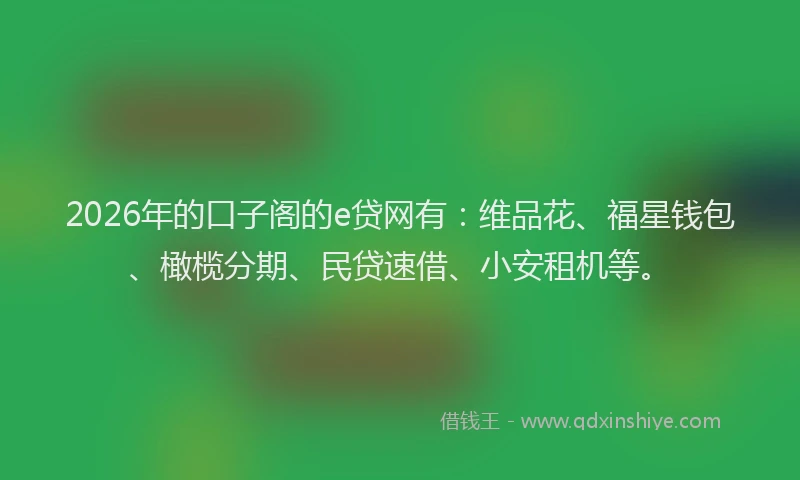 2026年的口子阁的e贷网有：维品花、福星钱包、橄榄分期、民贷速借、小安租机等。