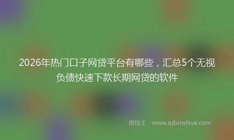 2026年热门口子网贷平台有哪些，汇总5个无视负债快速下款长期网贷的软件