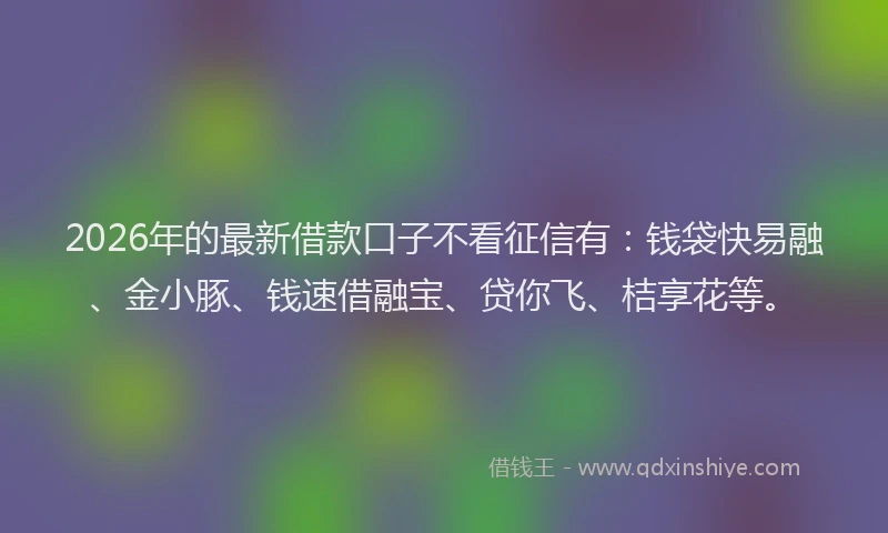 2026年的最新借款口子不看征信有：钱袋快易融、金小豚、钱速借融宝、贷你飞、桔享花等。