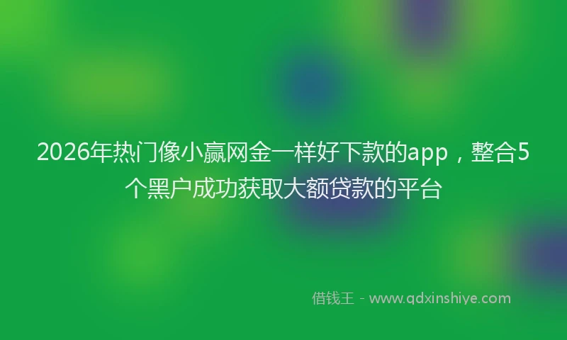 2026年热门像小赢网金一样好下款的app，整合5个黑户成功获取大额贷款的平台