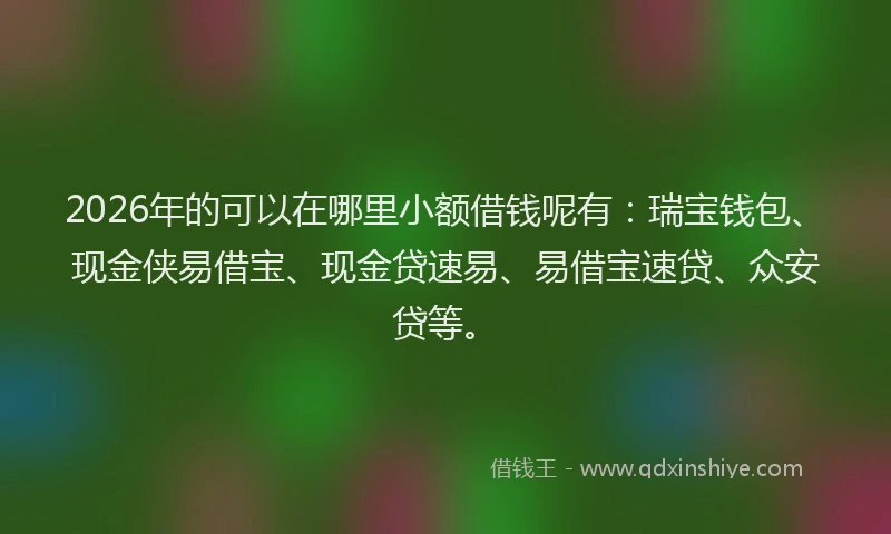 2026年的可以在哪里小额借钱呢有：瑞宝钱包、现金侠易借宝、现金贷速易、易借宝速贷、众安贷等。