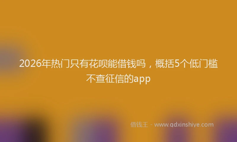 2026年热门只有花呗能借钱吗，概括5个低门槛不查征信的app