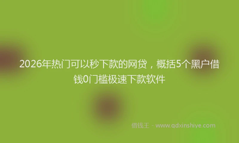 2026年热门可以秒下款的网贷，概括5个黑户借钱0门槛极速下款软件