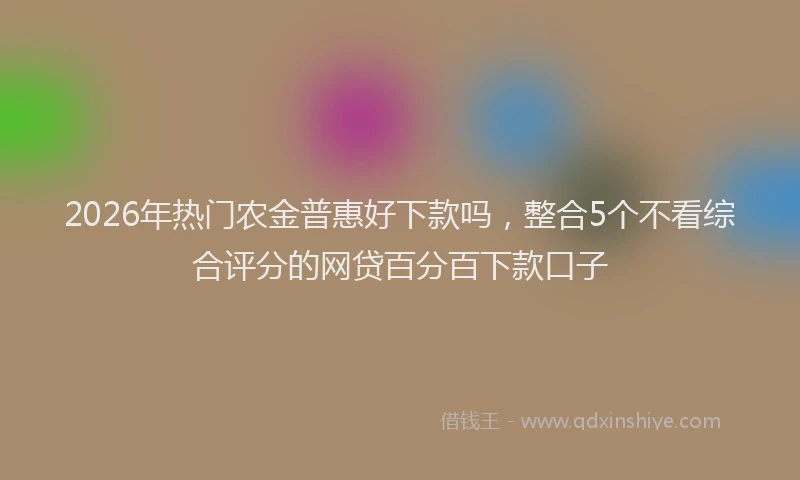 2026年热门农金普惠好下款吗，整合5个不看综合评分的网贷百分百下款口子
