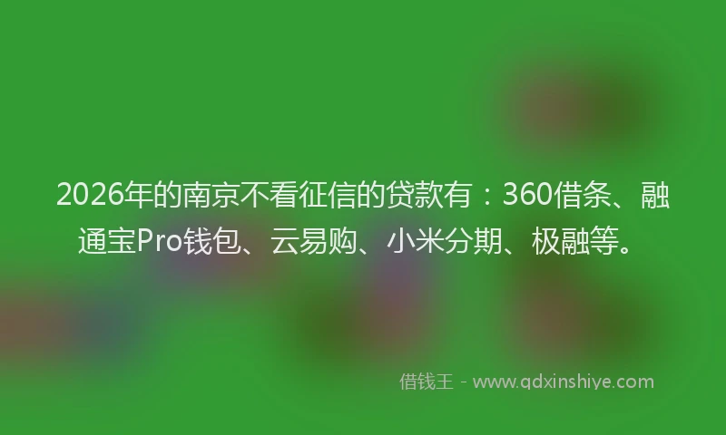 2026年的南京不看征信的贷款有：360借条、融通宝Pro钱包、云易购、小米分期、极融等。