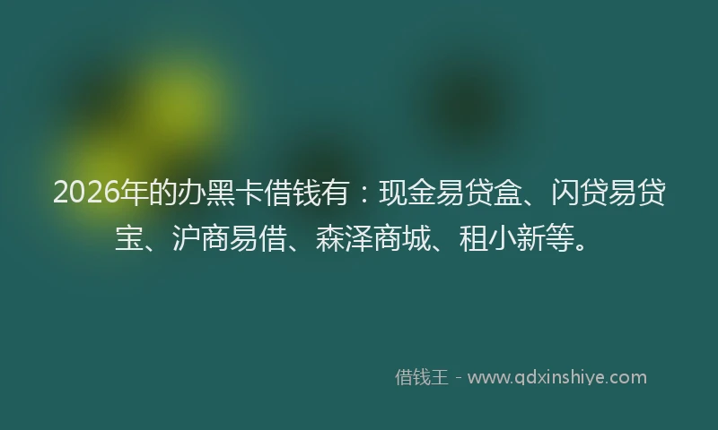 2026年的办黑卡借钱有：现金易贷盒、闪贷易贷宝、沪商易借、森泽商城、租小新等。